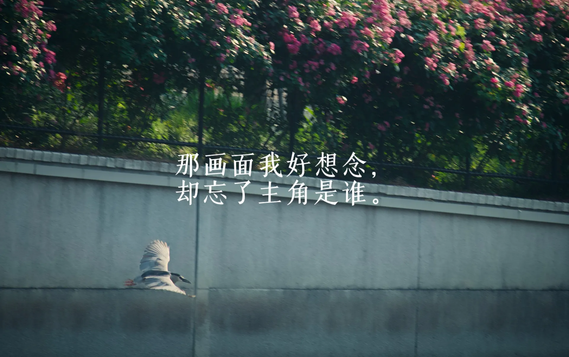 多想再见你一面