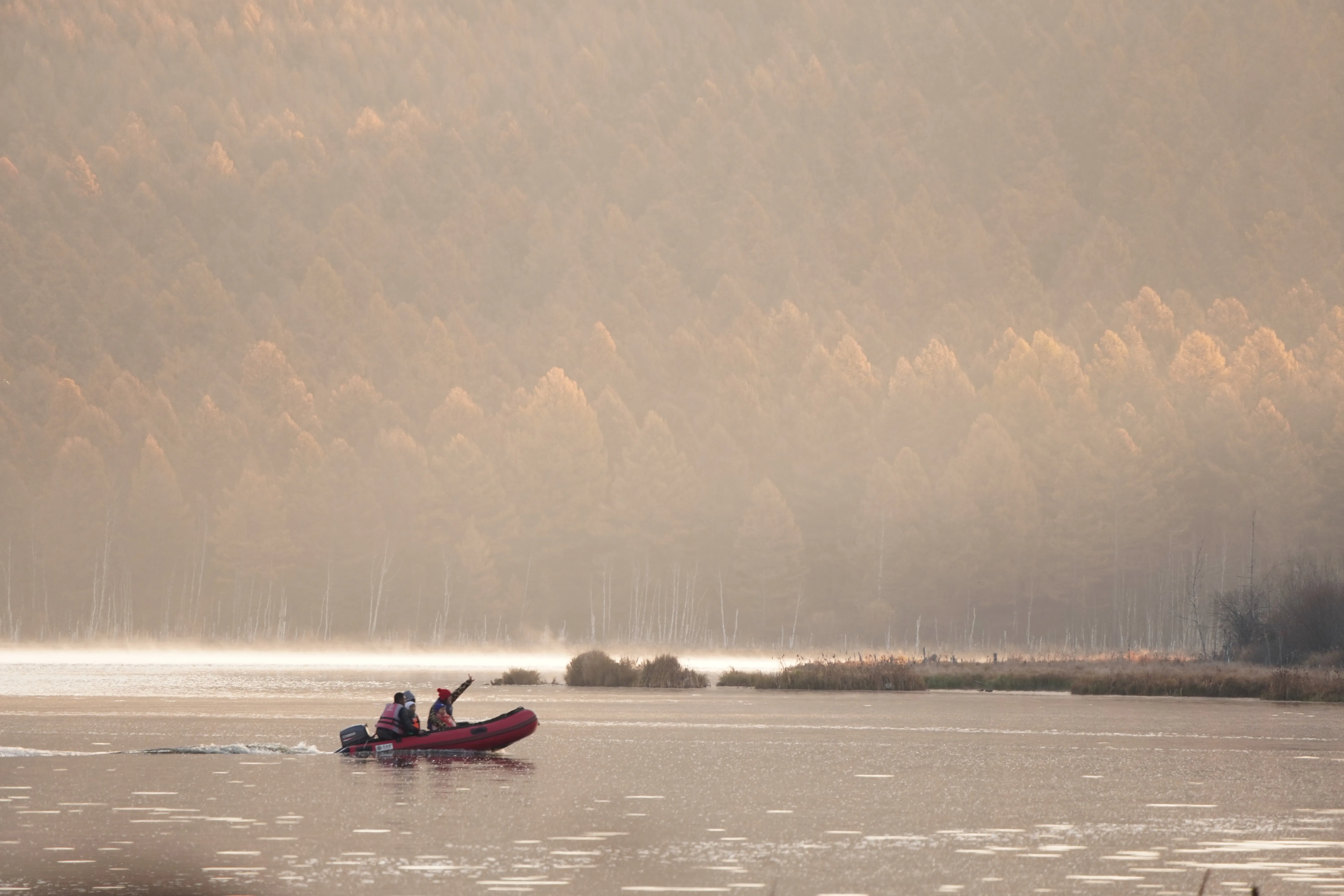 阿尔山晨雾，老早起来，却只赶上了人群和车流。