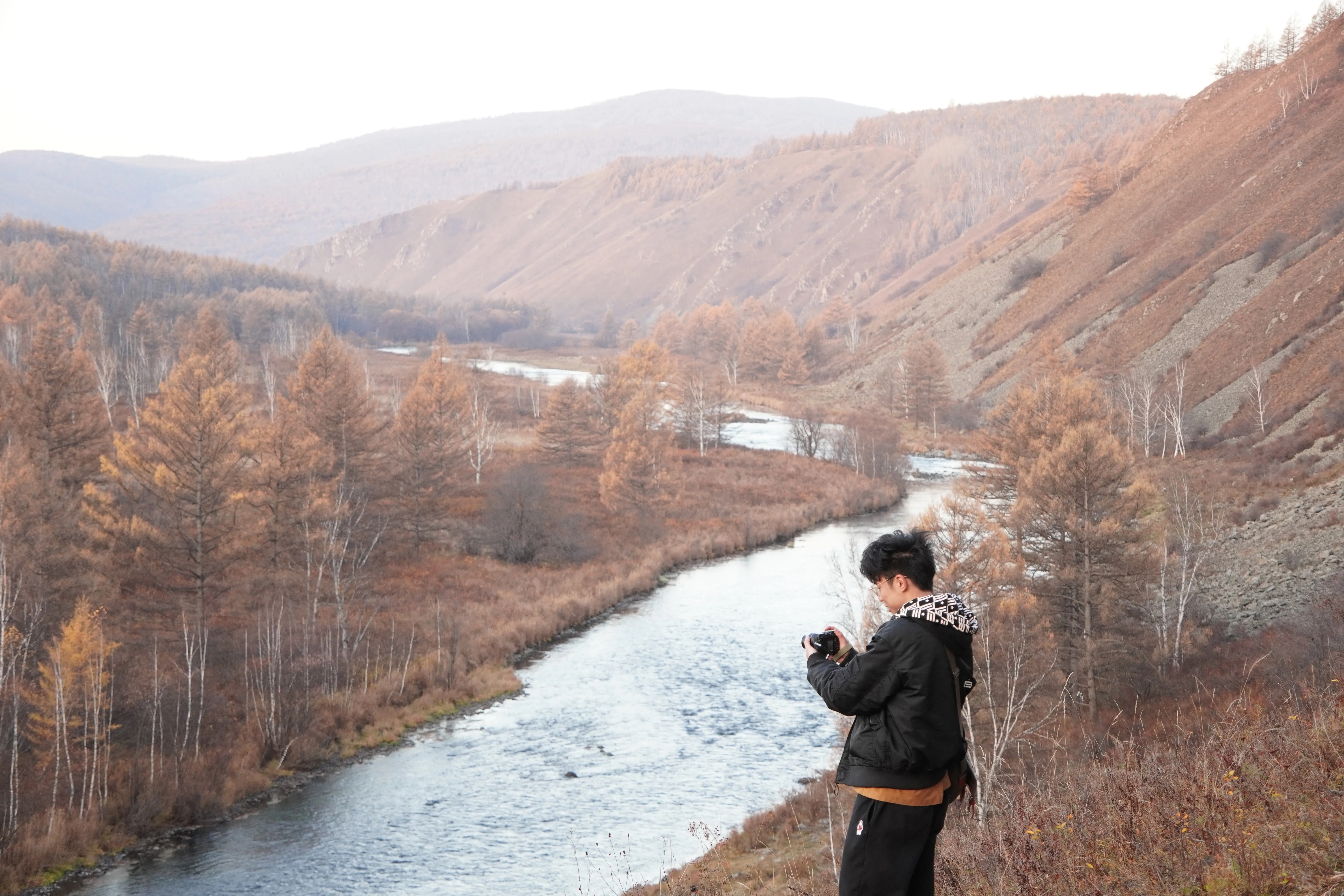 阿尔山经典机位，很冷，很困，很多狗。