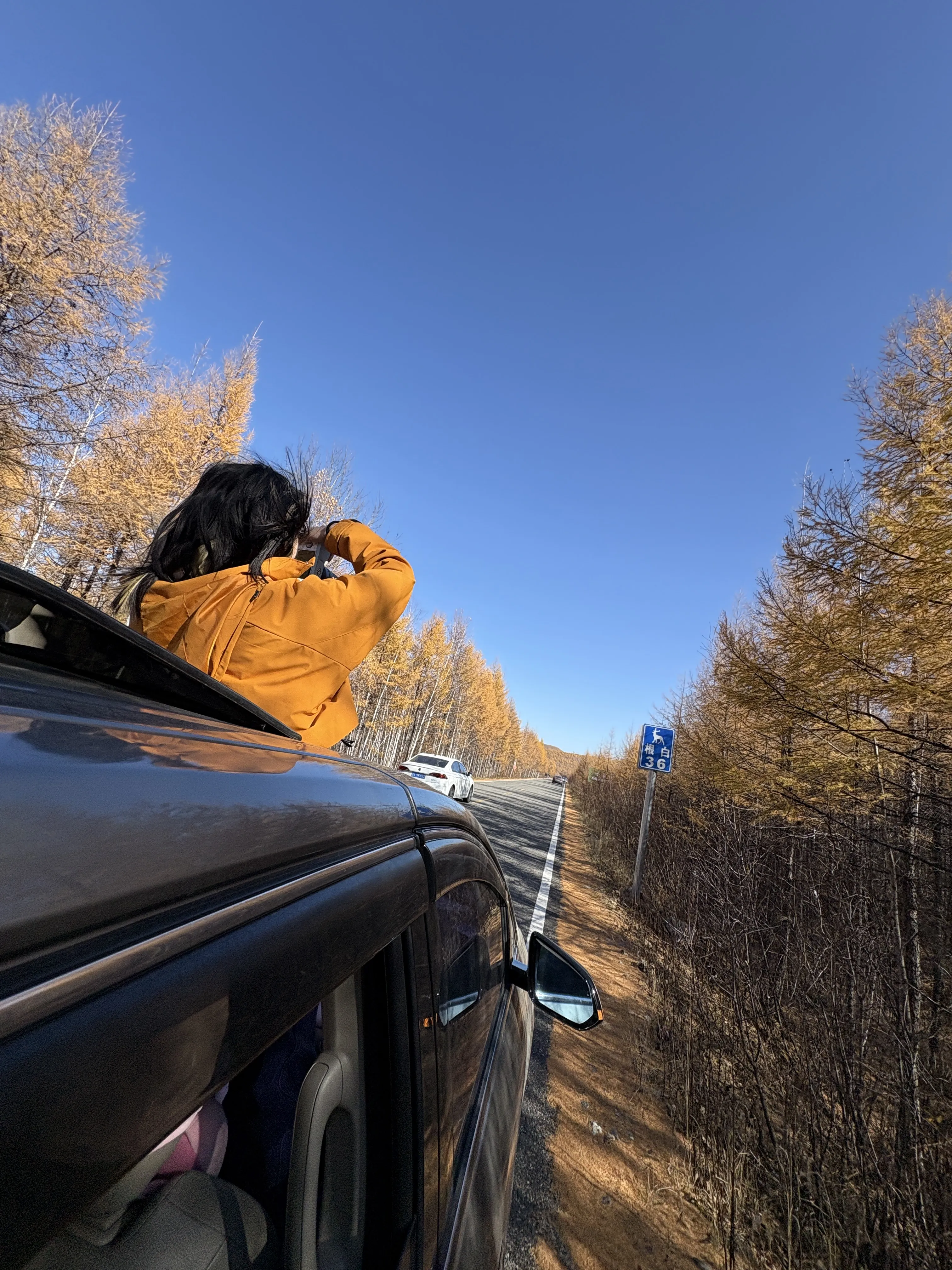 根白线上，探出头去