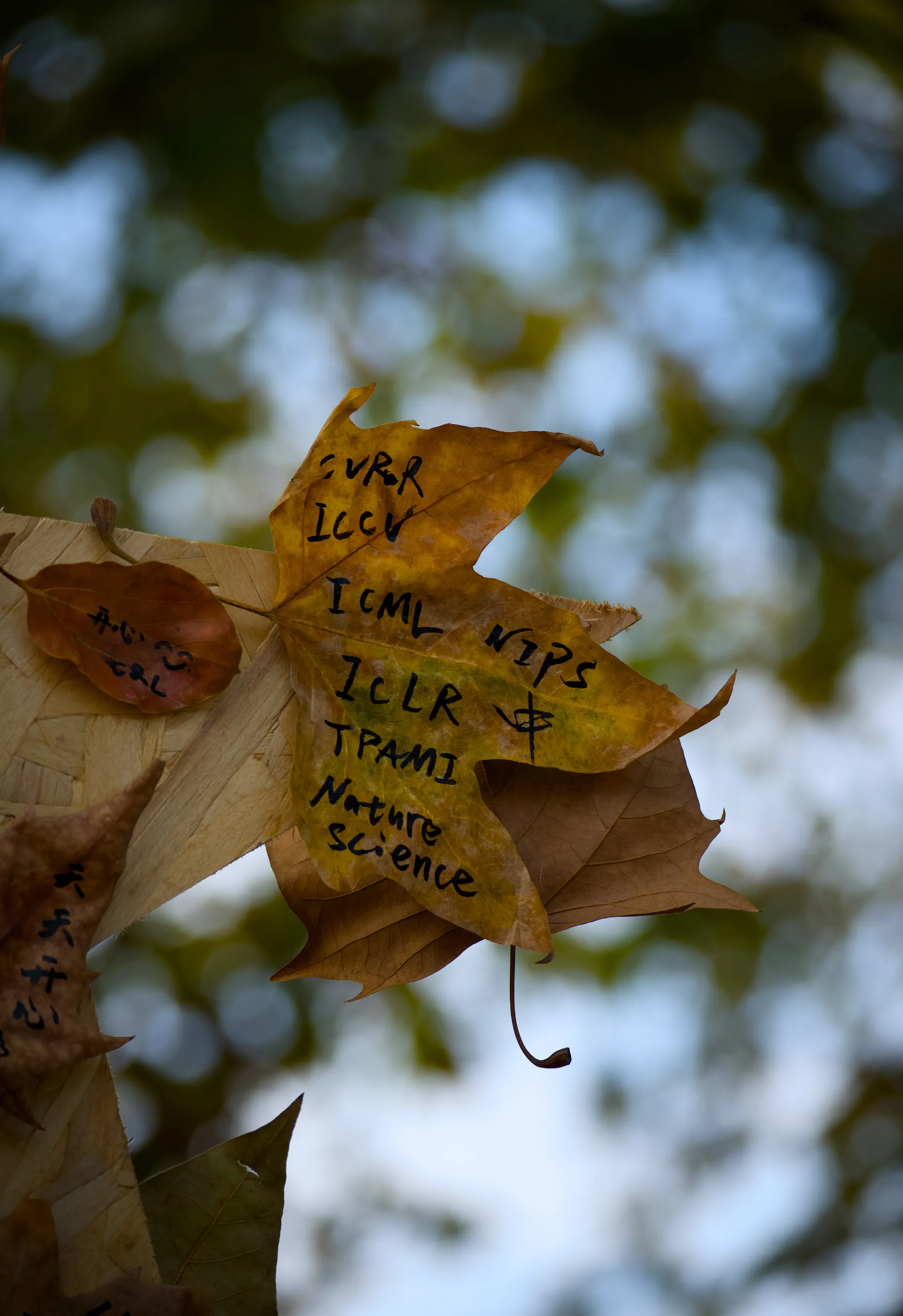 11:32 ｜ 超纯许愿，结果CVPR写错了