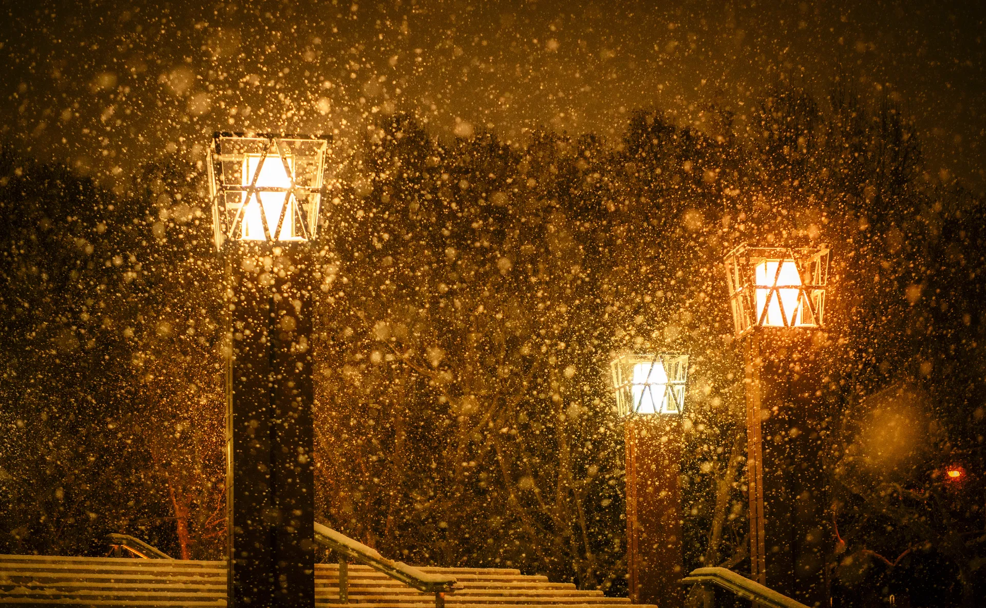 在新清，雪大了起来