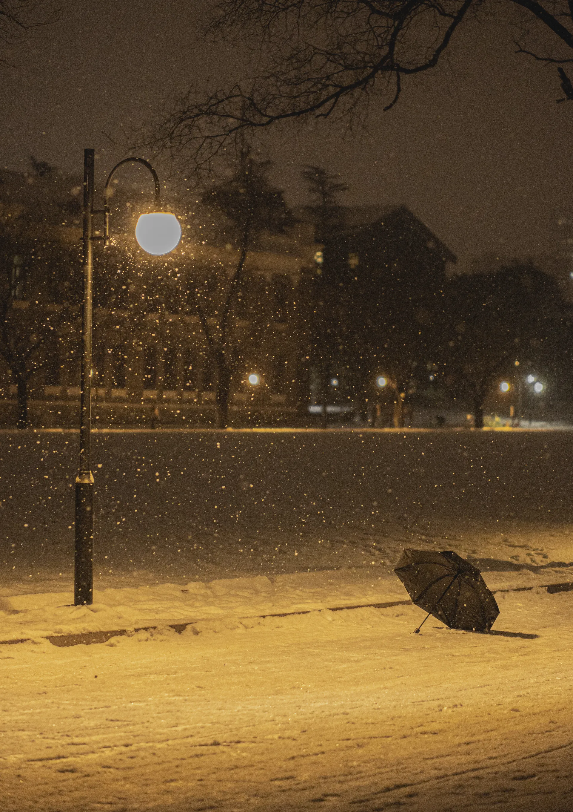 当时感觉有趣，就拍下来了